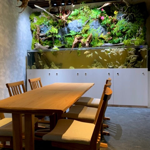 和室椅子テーブル_旅館家具_アームチェア, ダイニングチェア, チェア_たのし-アームチェアH-DB色テール85_八木研_ヤギケン_yagiken